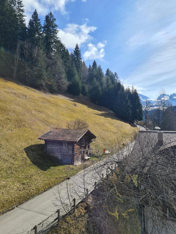 דירות Traditional Chalet In Wengen - Top Floor מראה חיצוני תמונה